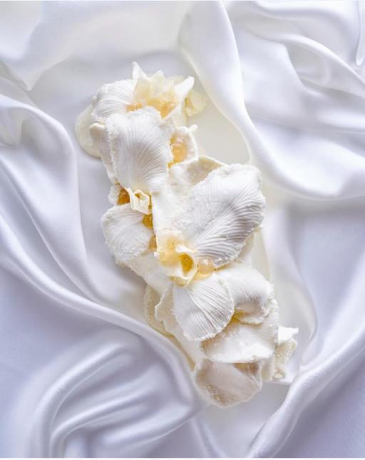 Naraé Kim, cheffe pâtissière du Park Hyatt Paris – Vendôme, rend hommage, avec sa bûche, à la première reine de la Haute Couture française des années 30.