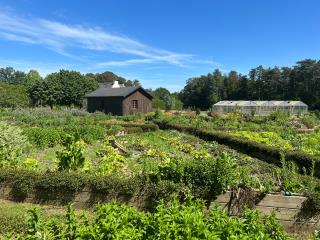 Le potager en permaculture du Domaine de la Bretesche permet de cultiver une partie des fruits et légumes nécessaires aux cuisines du restaurant Le Montaigu et de la brasserie Le Club.