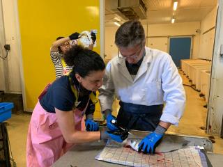L'association Filière ikejime propose des formations pour apprendre cette pratique à des...