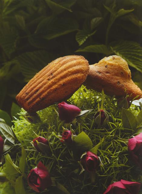 Madeleine Ispahan, recette harmonisée du livre 'Ispahan'.