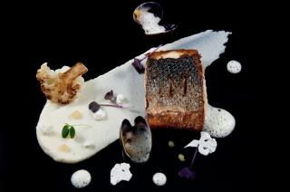 Le bar de ligne cuit à l'unilatéral au miso blanc, palourdes et fine purée de choux fleur...