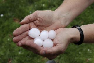 Les orages de grêle qui ce sont abattus sur de nombreux départements la semaine dernière ont causé...