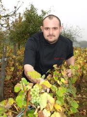 Raphael Vionnet dans ses vignes