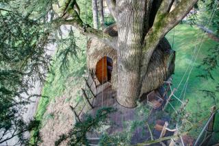 Cabanes dans les arbres au Domaine des Ormes.