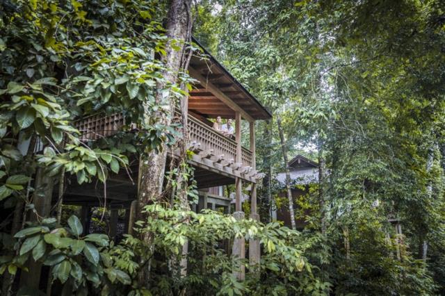 Une villa intégrée dans la forêt.