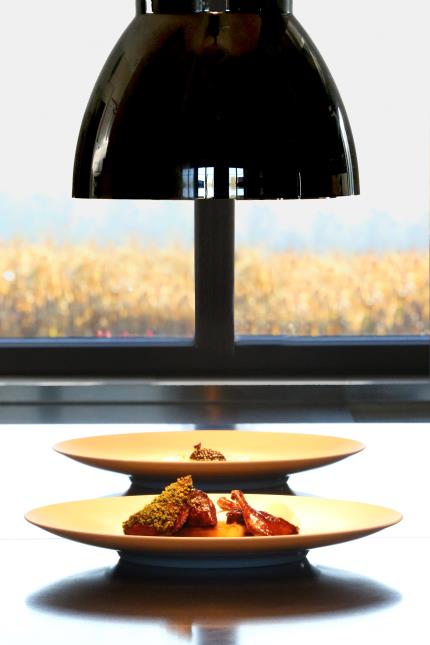Poitrines de pigeons rôtis, mousseline de céleri, oignons doux des Cévennes et jus réduit à la merise