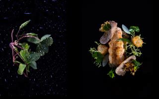 Langoustines juste saisies, crosne et jus de cuisson lié au beurre de Bresse, oxalis, pecorino,...