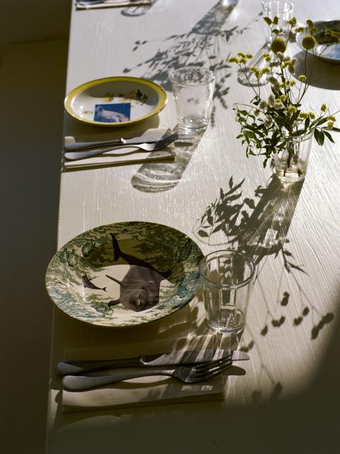 Certaines pièces de vaisselle sont issues de la collection  04.91 Tableware créée par Marion Mailaender.