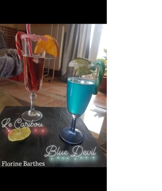 Nouveau défi photo lancé aux élèves de 2nde Bac Pro option CSR le 1er avril dernier : suite au cours diffusé sur les cocktails, réaliser le cocktail de votre choix (faites le avec vos parents pour qu'ils le dégustent, surtout si vous le faites avec alcool