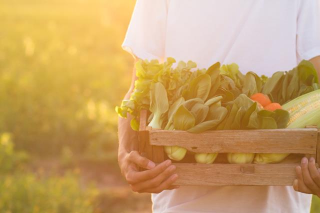 Pour plus de précaution (en raison du coronavirus), les fruits et légumes peuvent être lavés avant le stockage en chambre froide mais il faut dans ce cas prévoir de les utiliser rapidement.