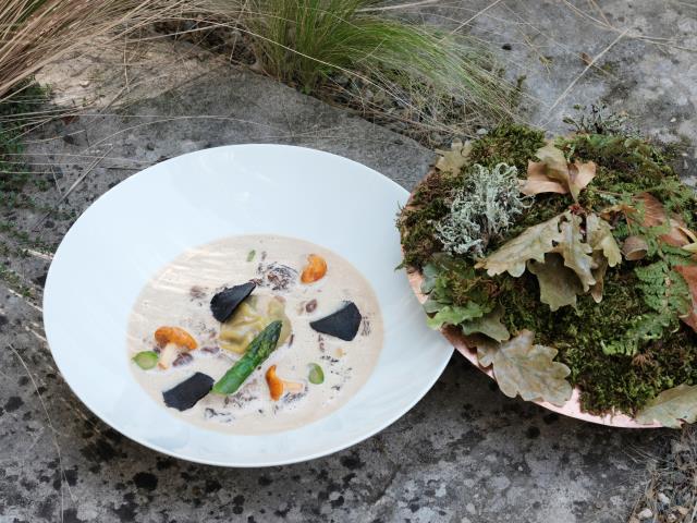 L'oreiller moelleux de mousserons et de morilles aux pointes d'asperges