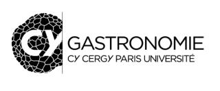 CY Cergy Paris Université