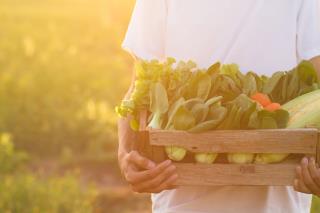 Pour plus de précaution (en raison du coronavirus), les fruits et légumes peuvent être lavés avant...