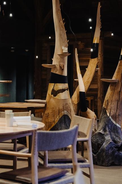 Foret Ivre est située sur des strates de glaises qui font que les arbres poussent en torsion, c’est un site unique reconnu par l’Unesco, ils avaient leur place en salle.