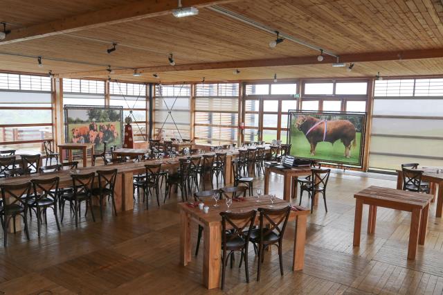 Une vaste salle de restaurant où le design et le bois sont rois