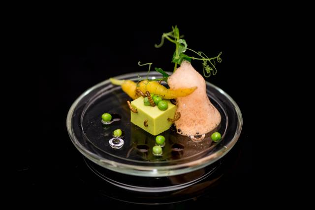 Le Petit Pois carré et son écume de Carottes, Vers de Farine