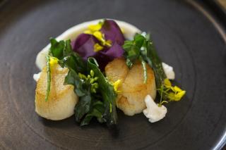 Recette de noix de Saint-Jacques et crème de yuzu d'Antonin BOnnet au Sergent Recruteur
