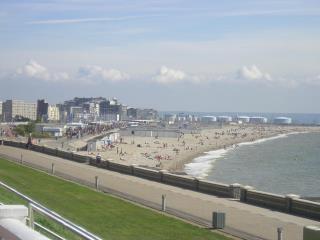 La plage du Havre veut redorer son image : un objectif qui passe par un renouvellement de l'offre...