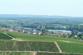 Pouilly-sur-Loire produit esentiellement du Pouilly-Fumé ( cépage sauvignon)