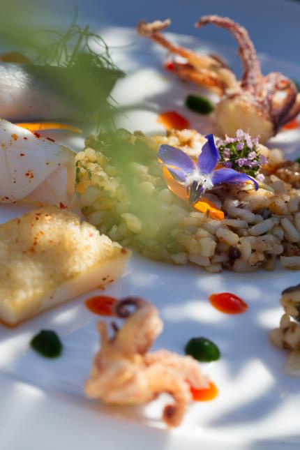 Calamar cuit aux parfums de tomate, olives Taggiasche, la seiche rôtie et pattes croustillantes