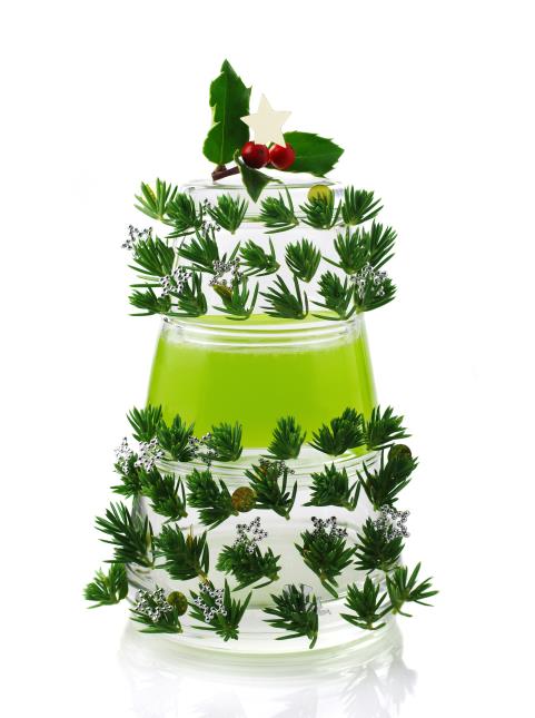 Le sapin verre.