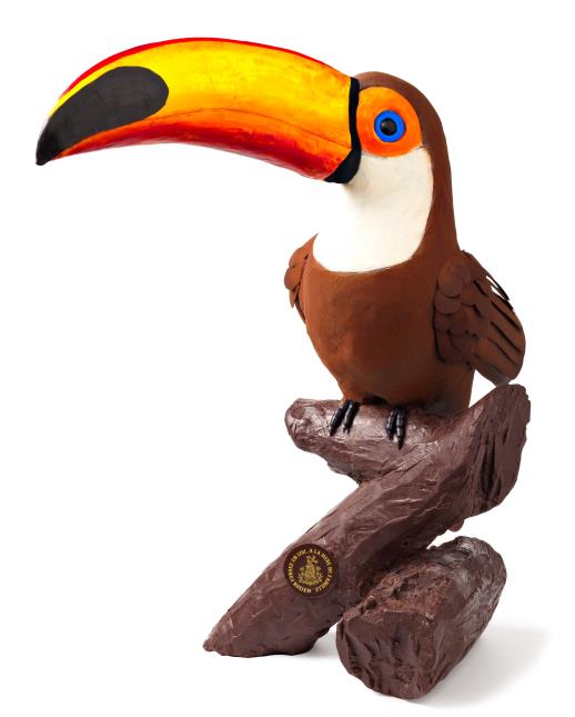 Toucan Toco du Venezuela.