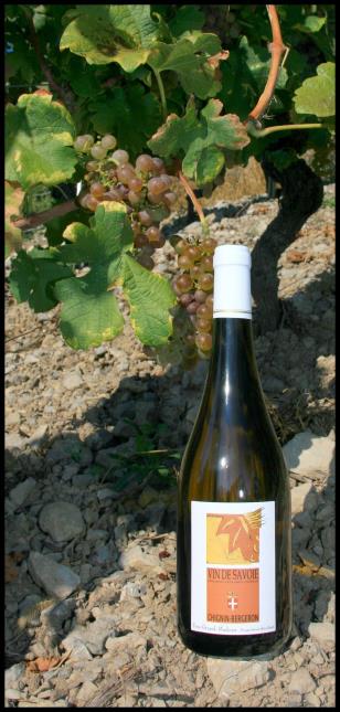 Le chignin-bergeron, vin de Savoie d'Yves Girard Madoux.