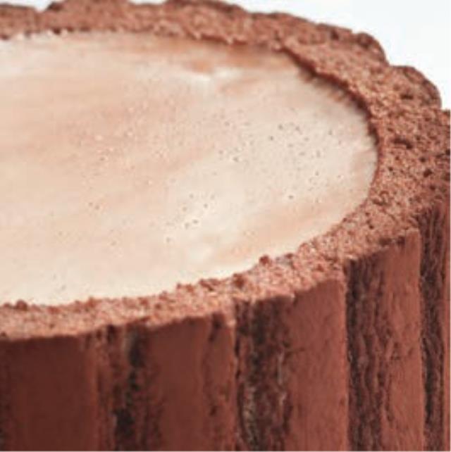 Charlotte chocolat-vanille.