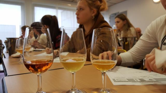travaux,pratiques, vin, cidre
