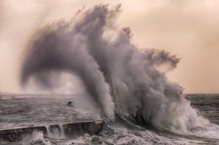 L'Urssaf accompagne les employeurs et les indépendants touchés par les tempêtes.