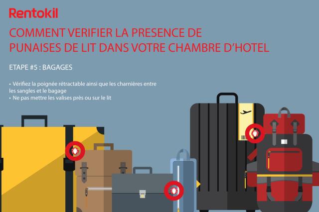 Vérifier la présence des punaises de lit : bagages.