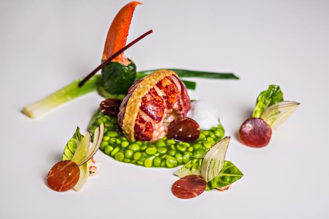 HOMARD BLEU de nos Côtes, Piqué de lard /petits pois cuisinés  à la française /bouillon mousseux de jabugo iberico


