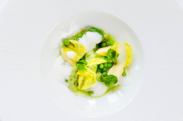 Velouté de petits pois, gnocchis fondants au caillé de brebis.