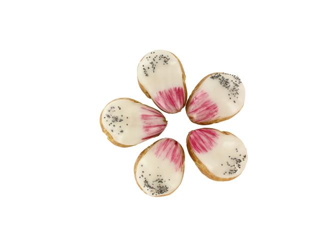 Petit chou, fleur Lady Rose.