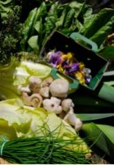 Le potager s'étend sur 8000m².