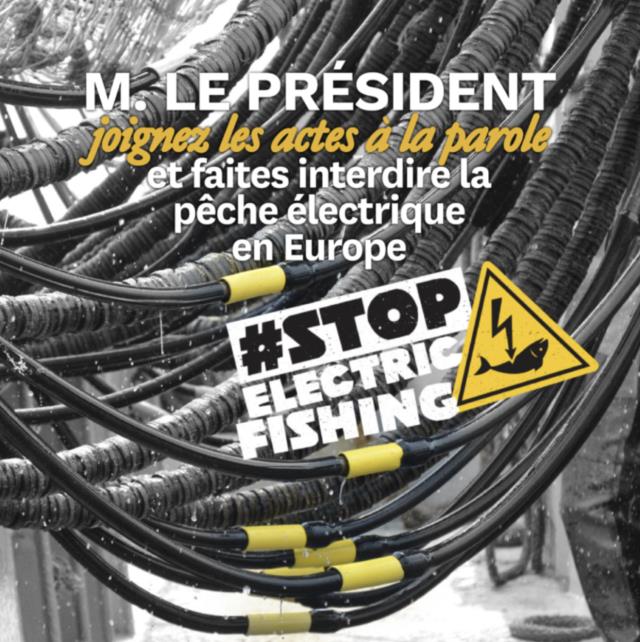 La pétition contre la pêche électrique.
