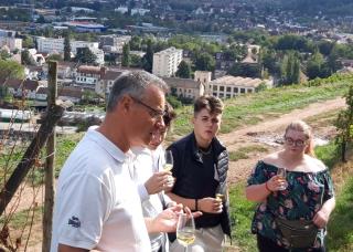 Dégustation de vins dans le vignoble shlumberger de Gwebwiller