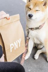 PNY communique sur son burger biscuit pour chiens avec Onyx.