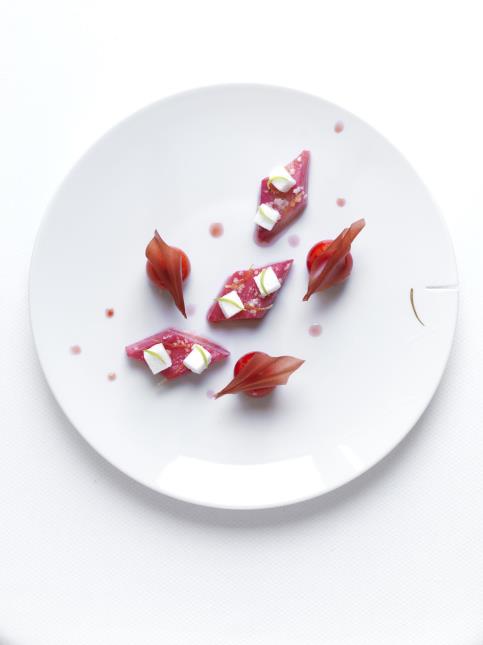Rhubarbe en croûte de sucre, billes moelleuses à la verveine.