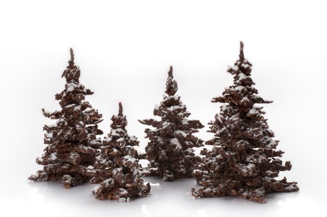 Le sapin de Noël 2014.