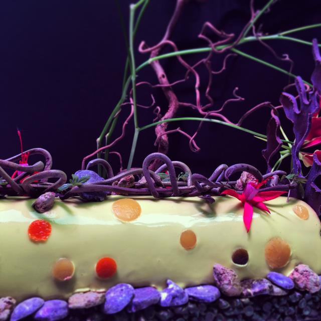 Bûche du Mandarin Oriental.