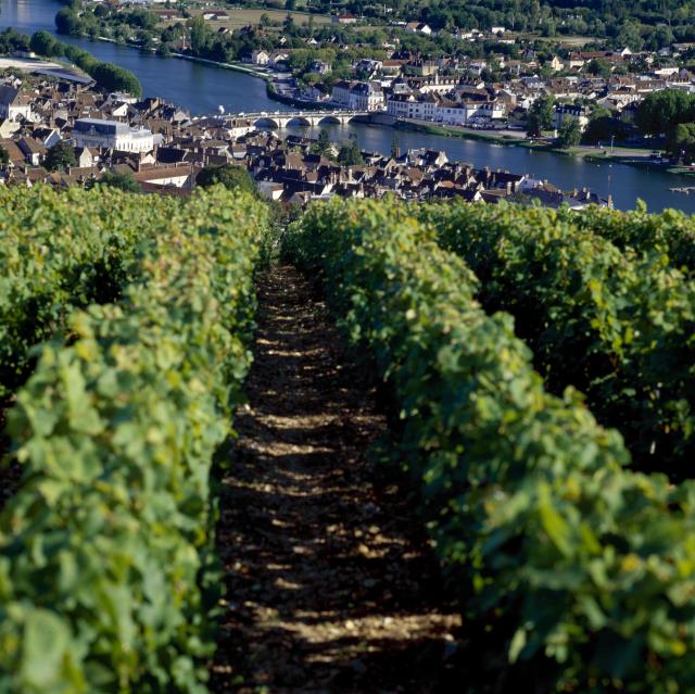 Côte St Jacques