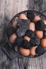 Brouillade d'oeufs de poule à la truffe noire, une recette harmonisée du livre 'La Régalade des...