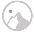 Logo_156W1431