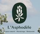 Logo_152W7581