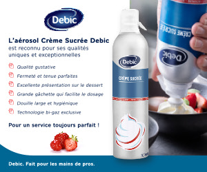 Débic L'aerosol creme