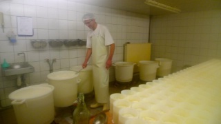 Après 5 semaines de travail, les 1 000 litres de lait cru obtenus donneront naissance à 450 fromages moulés à la louche. Après 5 semaines de travail, les 1 000 litres de lait cru obtenus donneront naissance à 450 fromages moulés à la louche.