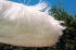 Sywawa de Symo lance le Breezer, le premier parasol en or