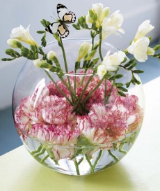 Oeillets bicolores flottant dans un aquarium avec quelques branches de freesias