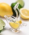 Le presse-citron Press-Art distribué chez Ecotel et Chomette Favor